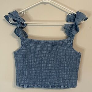 Z Supply Hera Gauze Chambray Crop Top Size M Blue Stretch Ruffle Sleeve NWT